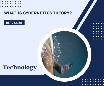 What is Cybernetics theory?